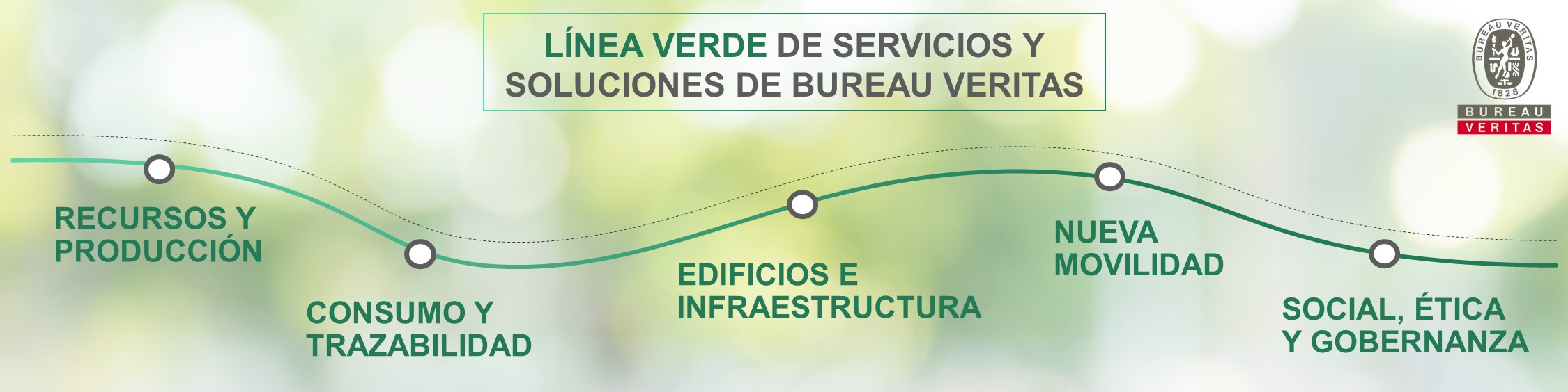 Green line Bureau Veritas