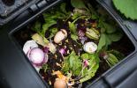 Como reducir el desperdicio de alimentos